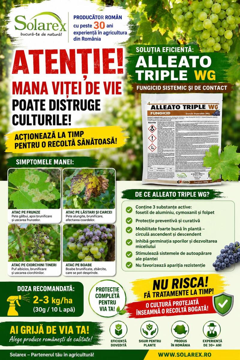 UN TRATAMENT EFICIENT DE PREVENIRE SI COMBATERE A MANEI LA VITA DE VIE !