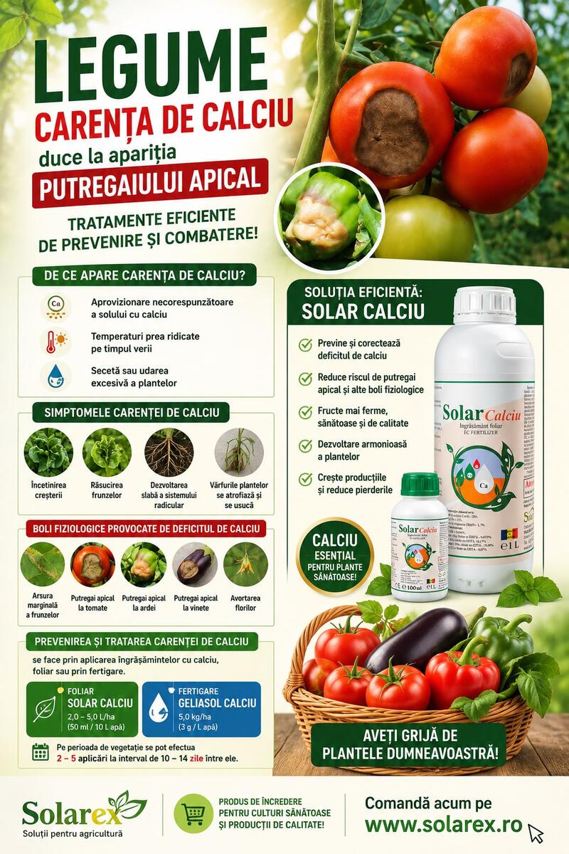 PREVENIM EFICIENT CARENTA DE CALCIU SI PUTREGAIUL APICAL LA LEGUME !