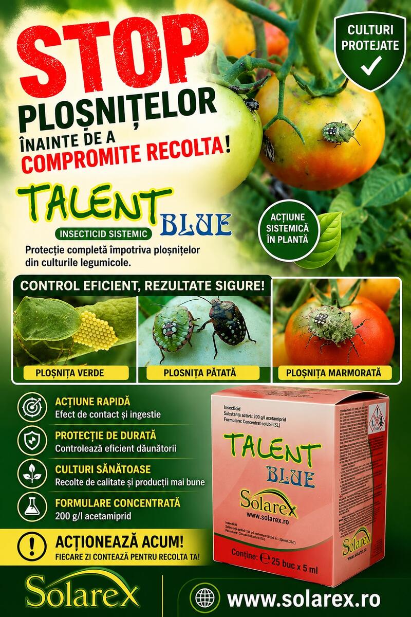A APARUT O NOUA GENERATIE DE PLOSNITA VERDE ( Nezara viridula) !
