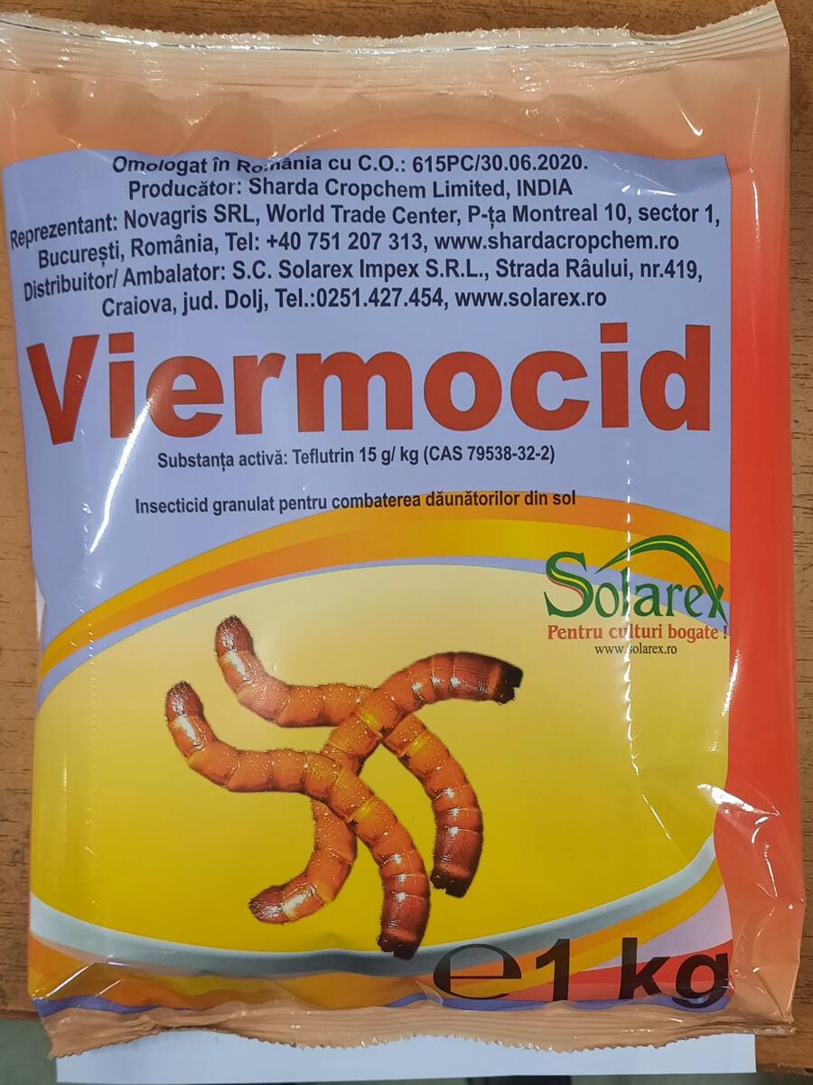 VIERMII SARMA ( Agriotes spp.) – TRATAMENT EFICIENT DE COMBATERE !