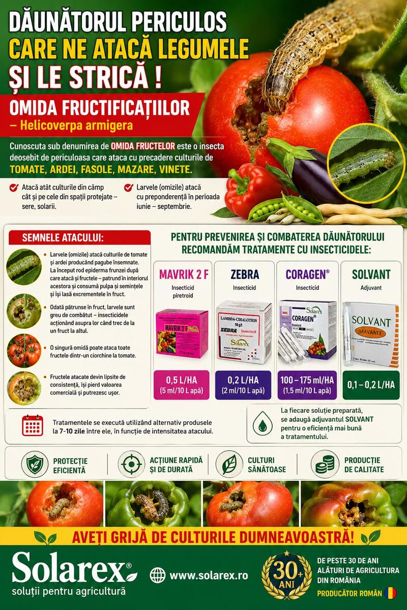 DAUNATORUL CE APARE LA LEGUME SI LE STRICA : OMIDA FRUCTIFICATIILOR – Helicoverpa armigera.  TRATAMENTE EFICIENTE !