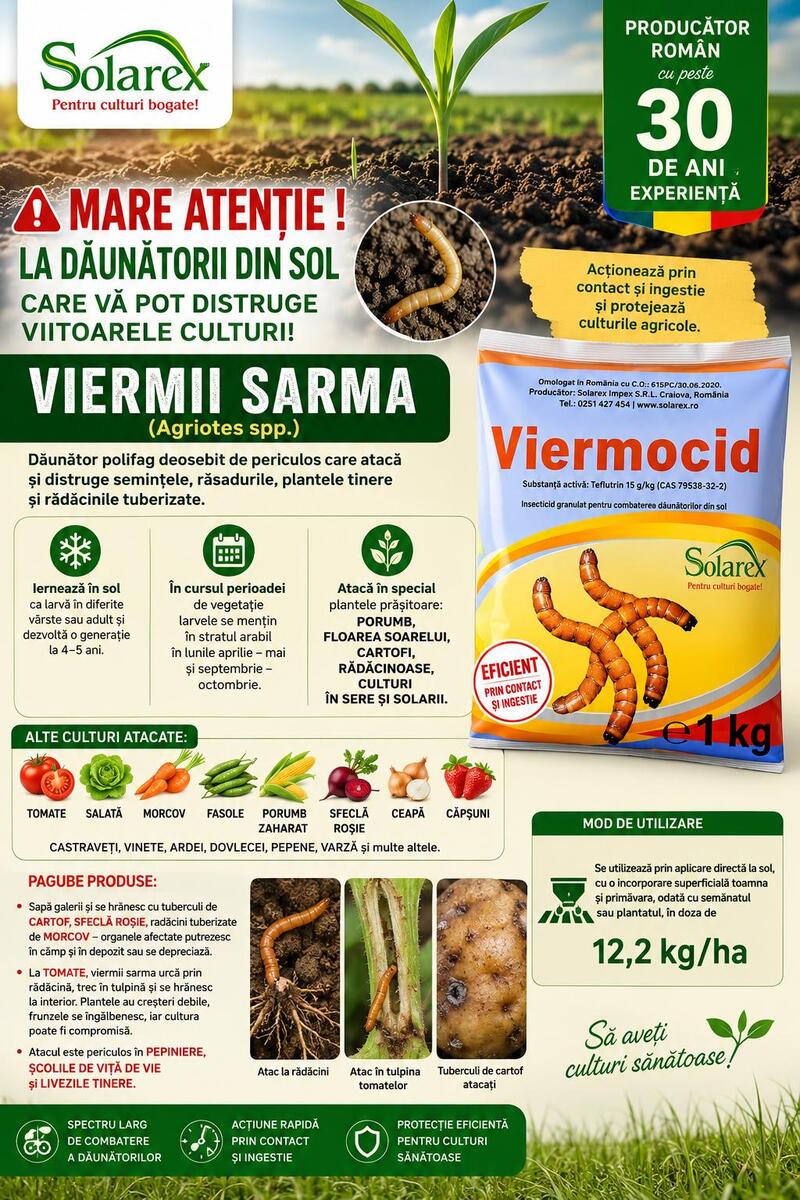 CAND PLANTATI LEGUMELE DE TOAMNA NU UITATI DE DAUNATORII DIN SOL! TRATAMENTE EFICIENTE !
