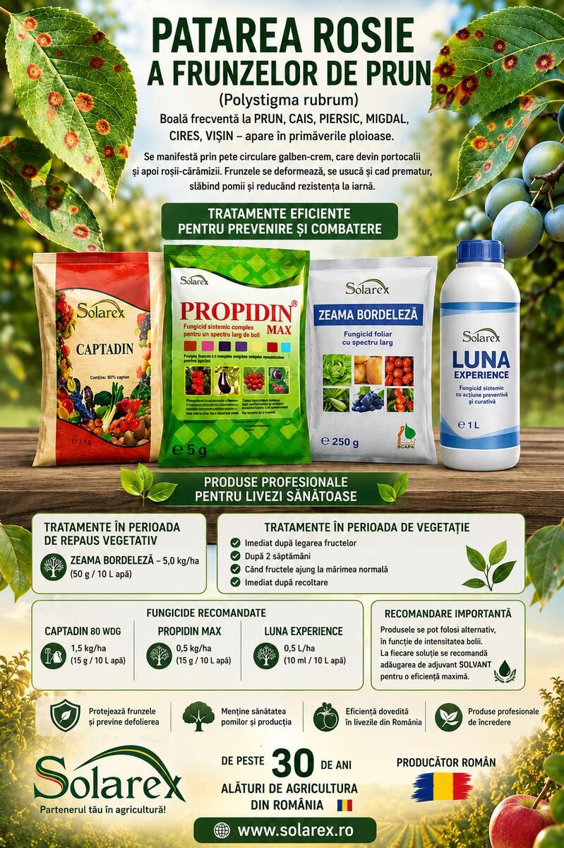 PATAREA ROSIE A FRUNZELOR DE PRUN ( Polystigma rubrum) – TRATAMENTE EFICIENTE !