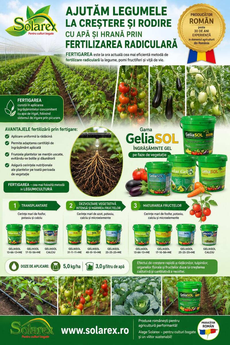 LA TEMPERATURI RIDICATE AJUTAM LEGUMELE CU APA SI HRANA PRIN FERTILIZAREA RADICULARA !