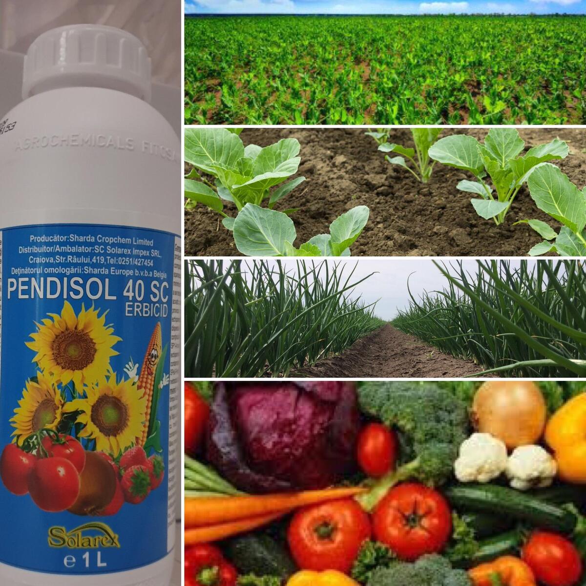 PRIMAVARA PREGATIM GRADINA FARA BURUIENI PENTRU LEGUMELE NOASTRE !