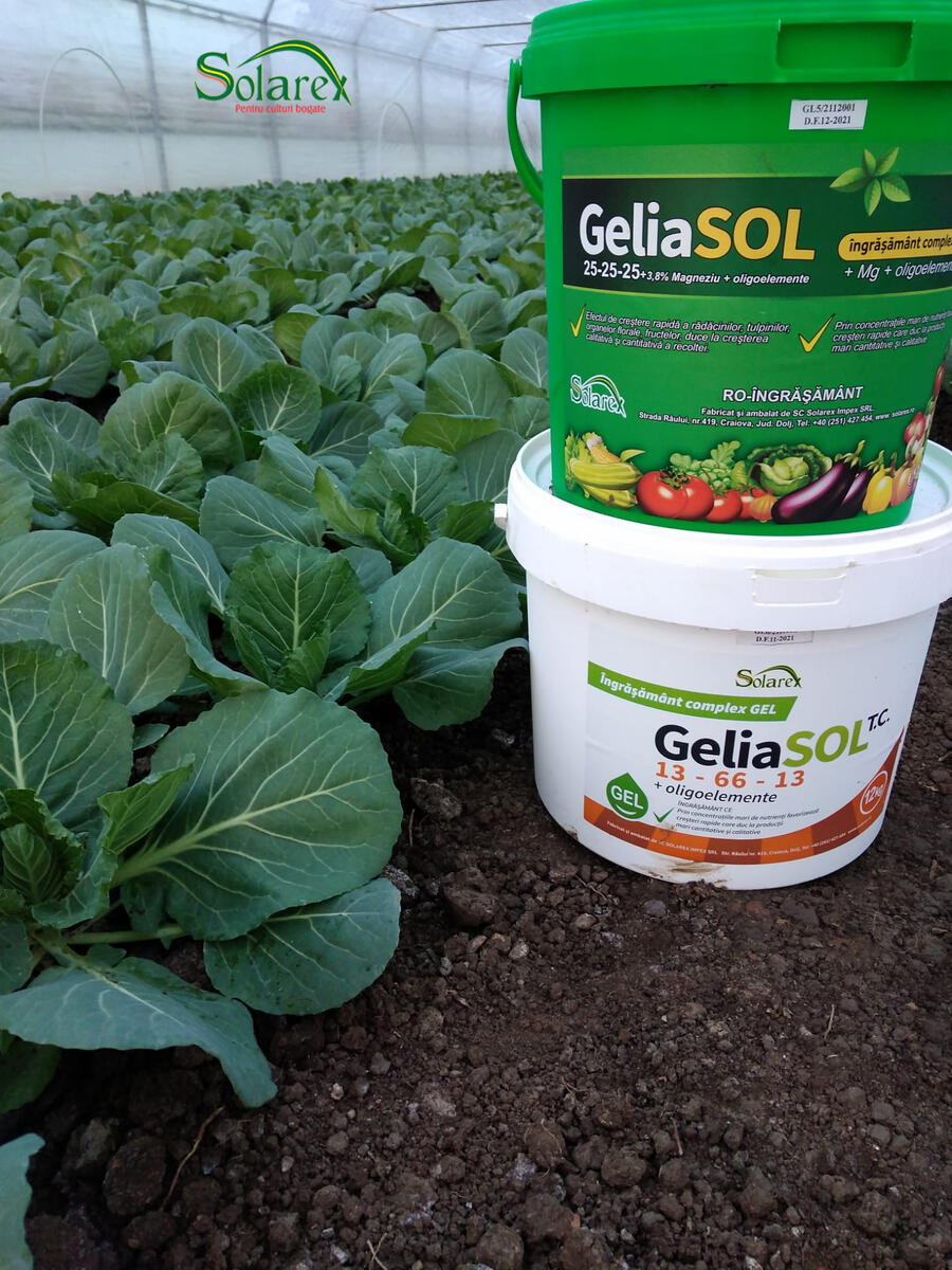 VARZA DE TOAMNA – APLICAREA FERTILIZARII RADICULARE PENTRU OBTINEREA UNOR RECOLTE BOGATE !