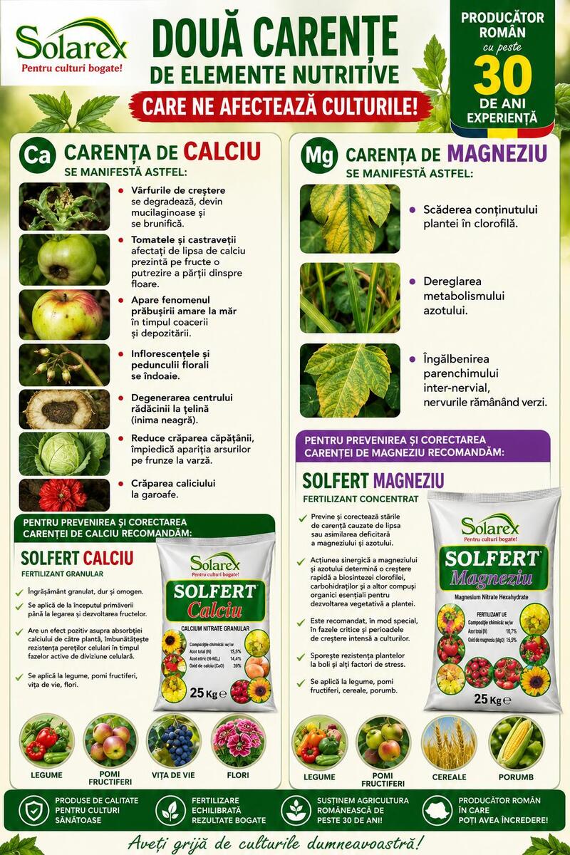  CARENTA DE ELEMENTE NUTRITIVE NE AFECTEAZA CULTURILE ! TRATAMENTE EFICIENTE !