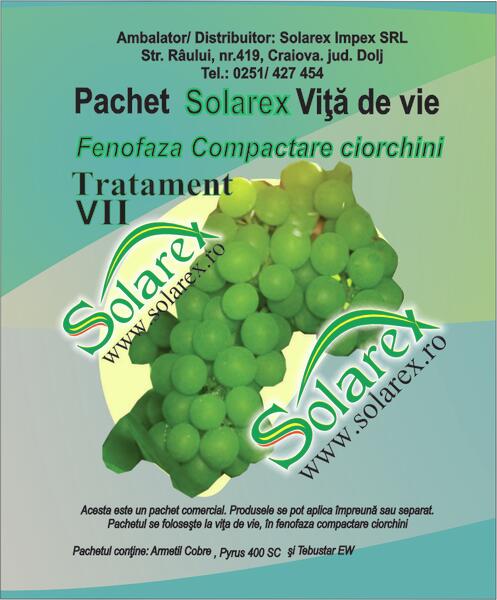 ΠΑΚΕΤΟ ΘΕΡΑΠΕΙΑΣ VII Vita de Vie Συμπυκνωτικά συσσωματώματα