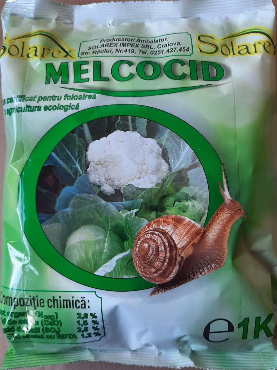 CE TRATAMENT APLICAM IMPOTRIVA LIMACSILOR – MELCII FARA COCHILIE !