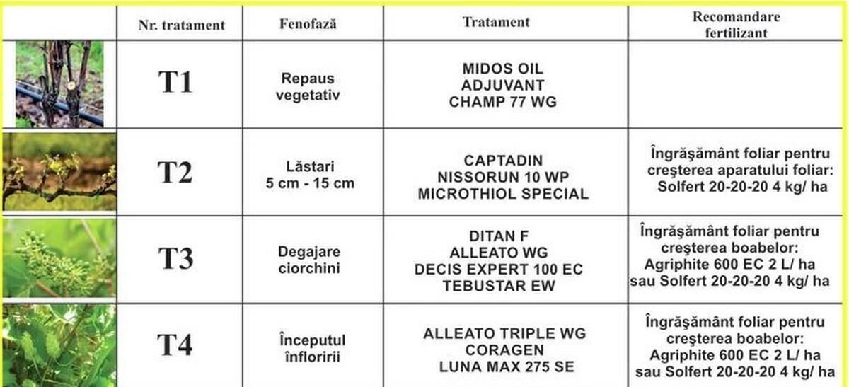 PRIMELE TRATAMENTE DE PREVENIRE SI COMBATERE A BOLILOR SI DAUNATORILOR  LA VITA DE VIE !