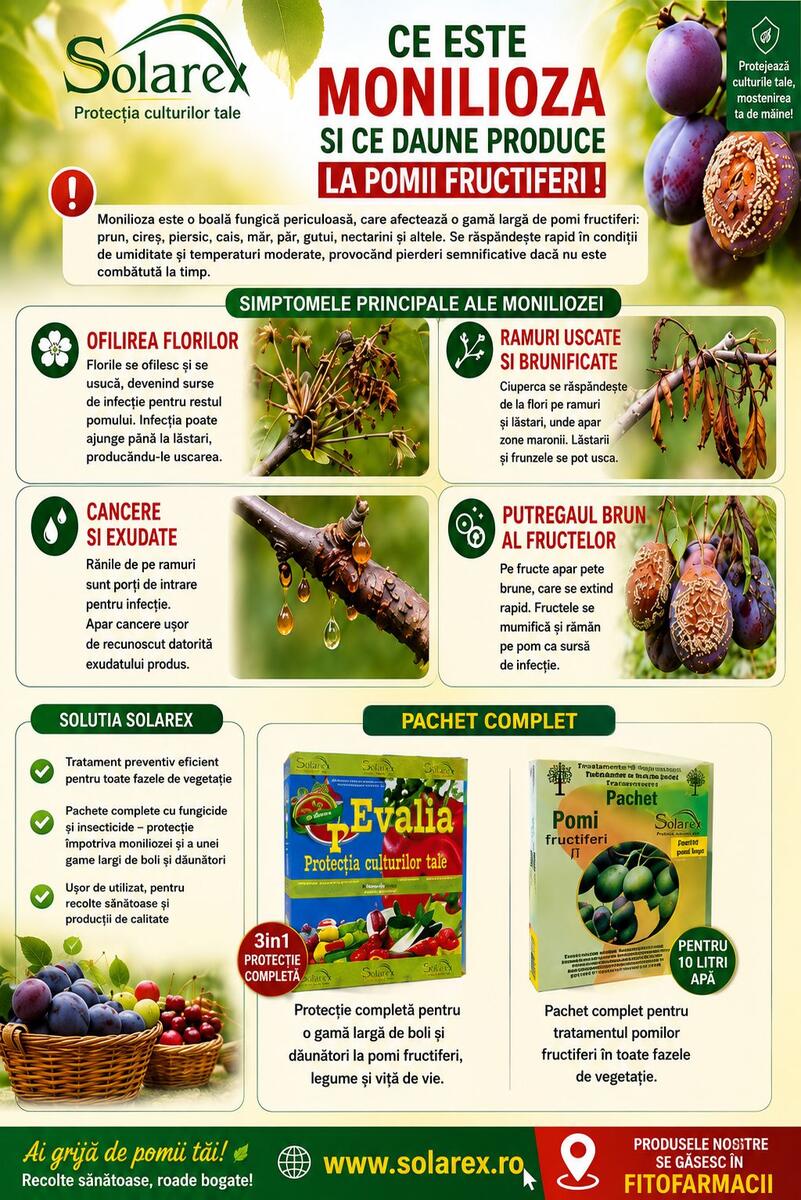  TRATAMENTE EFICIENTE DE PREVENIRE SI COMBATERE  A MONILIOZEI LA POMII FRUCTIFERI !