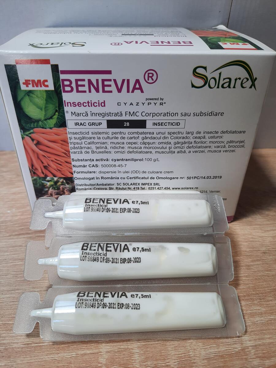 TRATAMENT EFICIENT LA CEAPA SI USTUROI PENTRU : MUSCA CEPEI. (Delia antiqua).