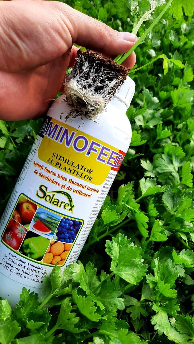 PREGATIREA RASADURILOR DE LEGUME PENTRU PLANTARE ! SFATURI UTILE !