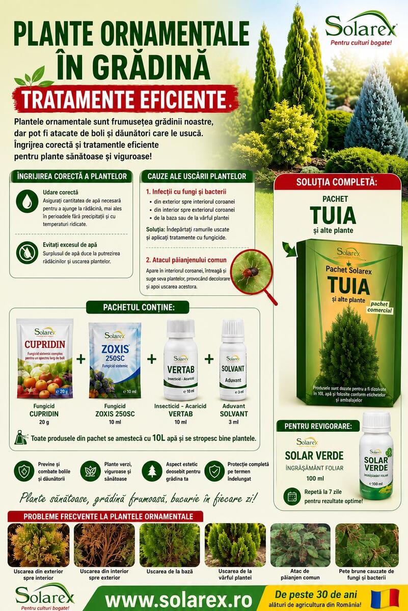 TRATAMENTE EFICIENTE DE INTRETINERE A PLANTELOR ORNAMENTALE DIN CURTEA NOASTRA !