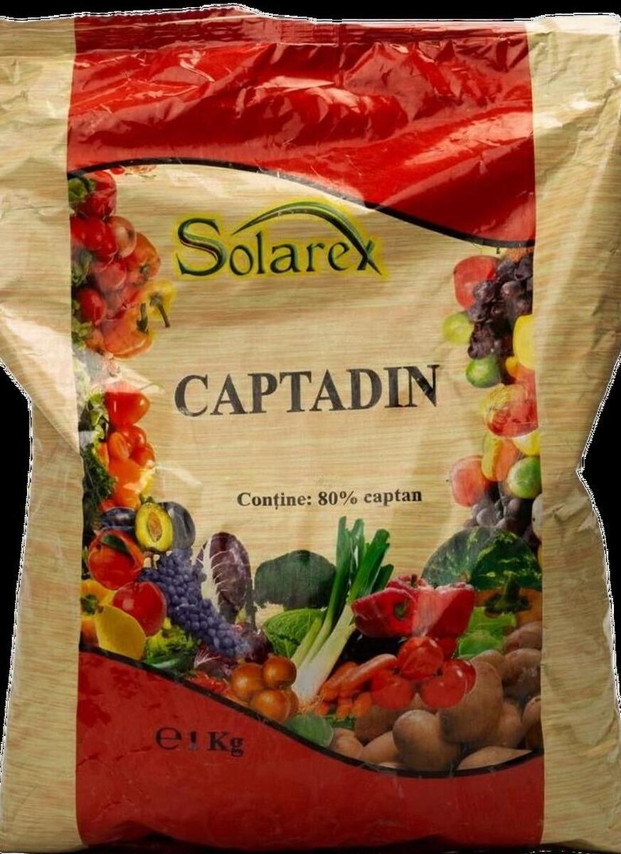 PATAREA ROSIE A FRUNZELOR DE PRUN ( Polystigma rubrum). CE TRATAMENTE APLICAM PENTRU PREVENIRE SI COMBATERE!