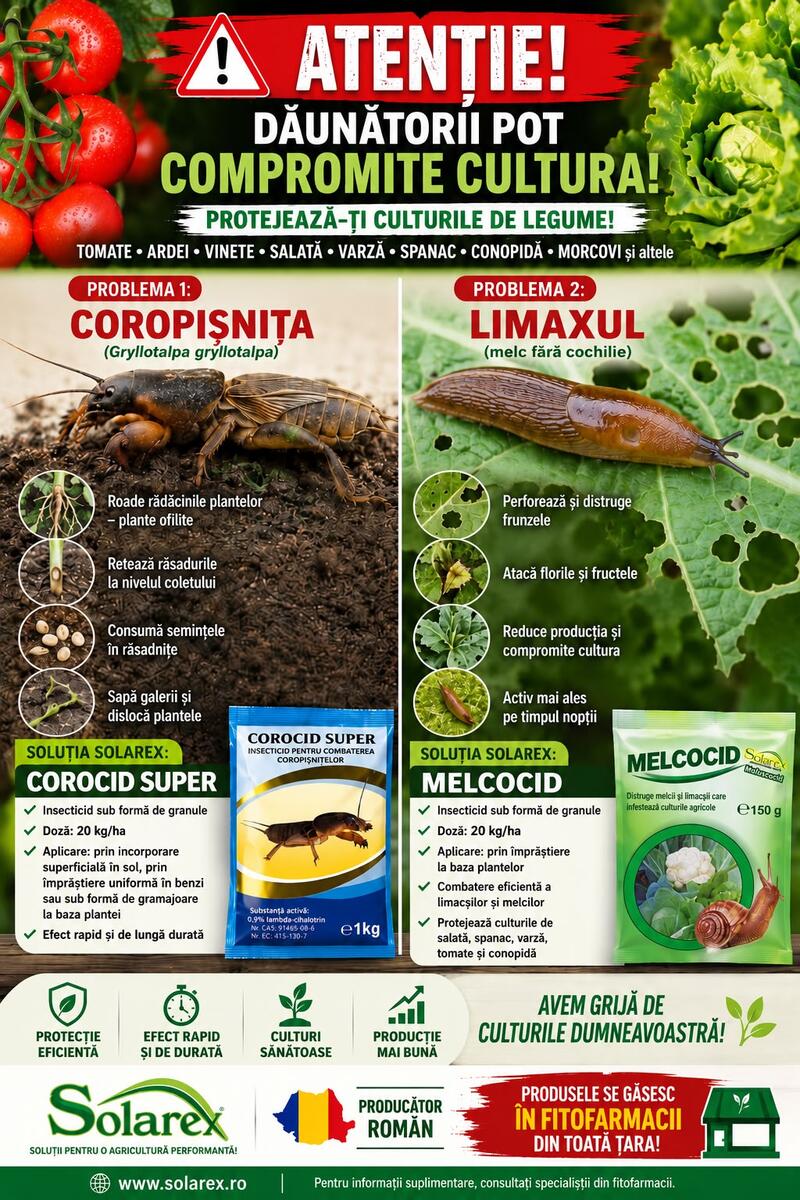 COMBATEREA EFICIENTA A DAUNATORILOR LA LEGUME !