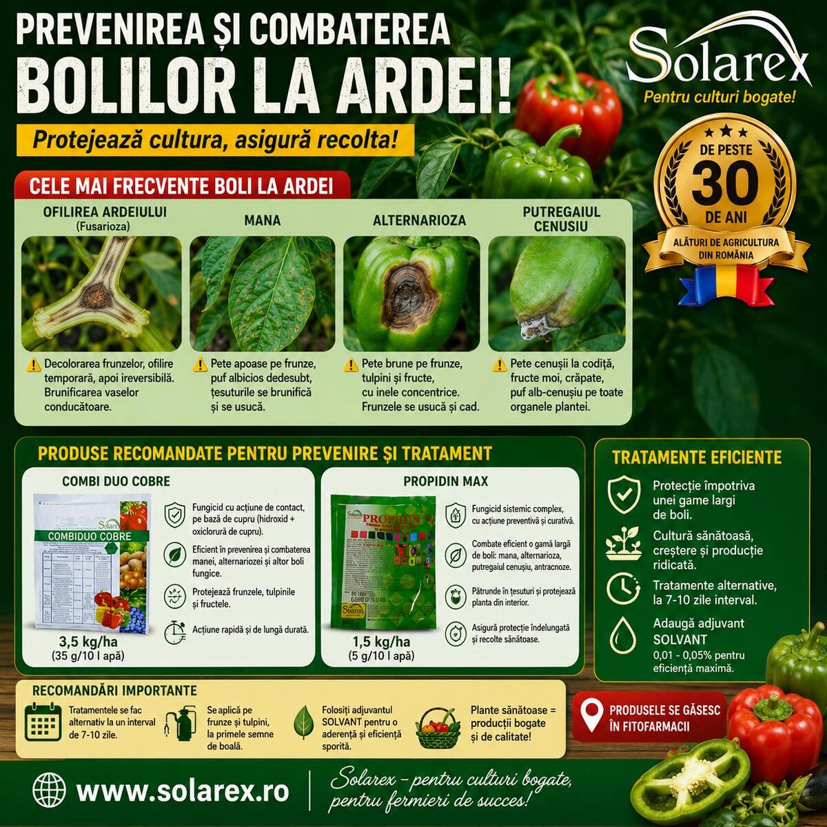 TRATAMMENTE EFICIENTE LA CULTURA DE ARDEI IMPOTRIVA BOLILOR !