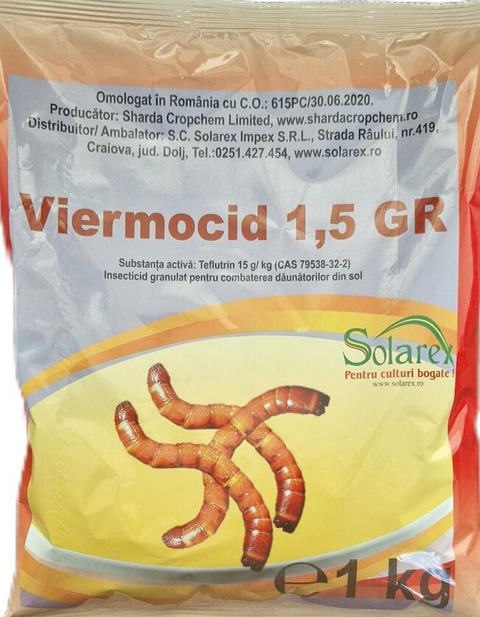 UN SOL FARA DAUNATORI IN GRADINA NOASTRA !