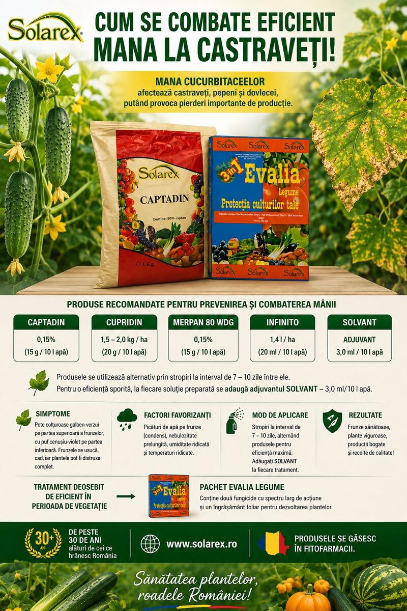 CASTRAVETII DE TOAMNA – COMBATEREA EFICIENTA A MANEI !