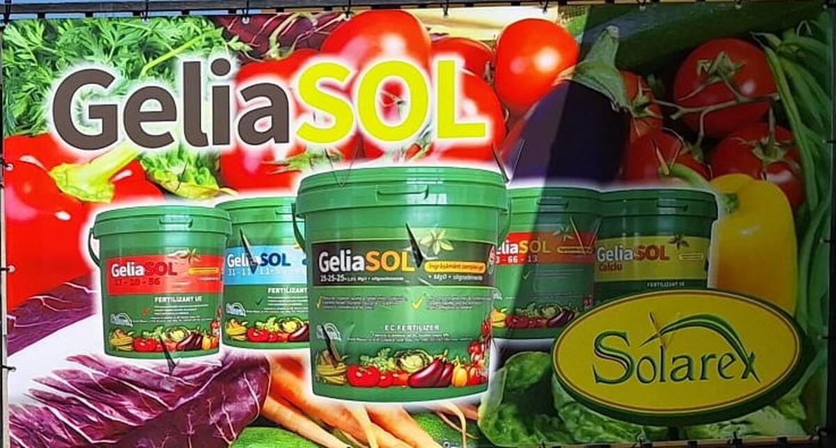 SFATURI UTILE PENTRU APLICAREA FERTILIZARII RADICULARE LA LEGUME !
