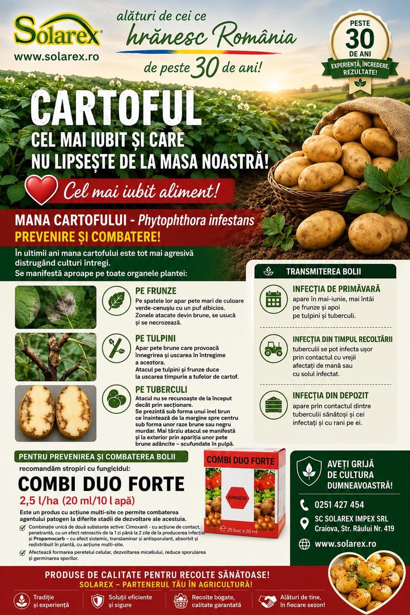 MANA CARTOFULUI - Phytophthora infestans. TRATAMENT EFICIENT DE PREVENIRE SI COMBATERE !