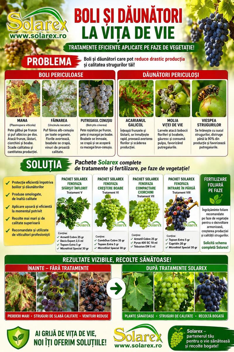 VITA DE VIE – STRUGURI SANATOSI SI RECOLTE BOGATE !