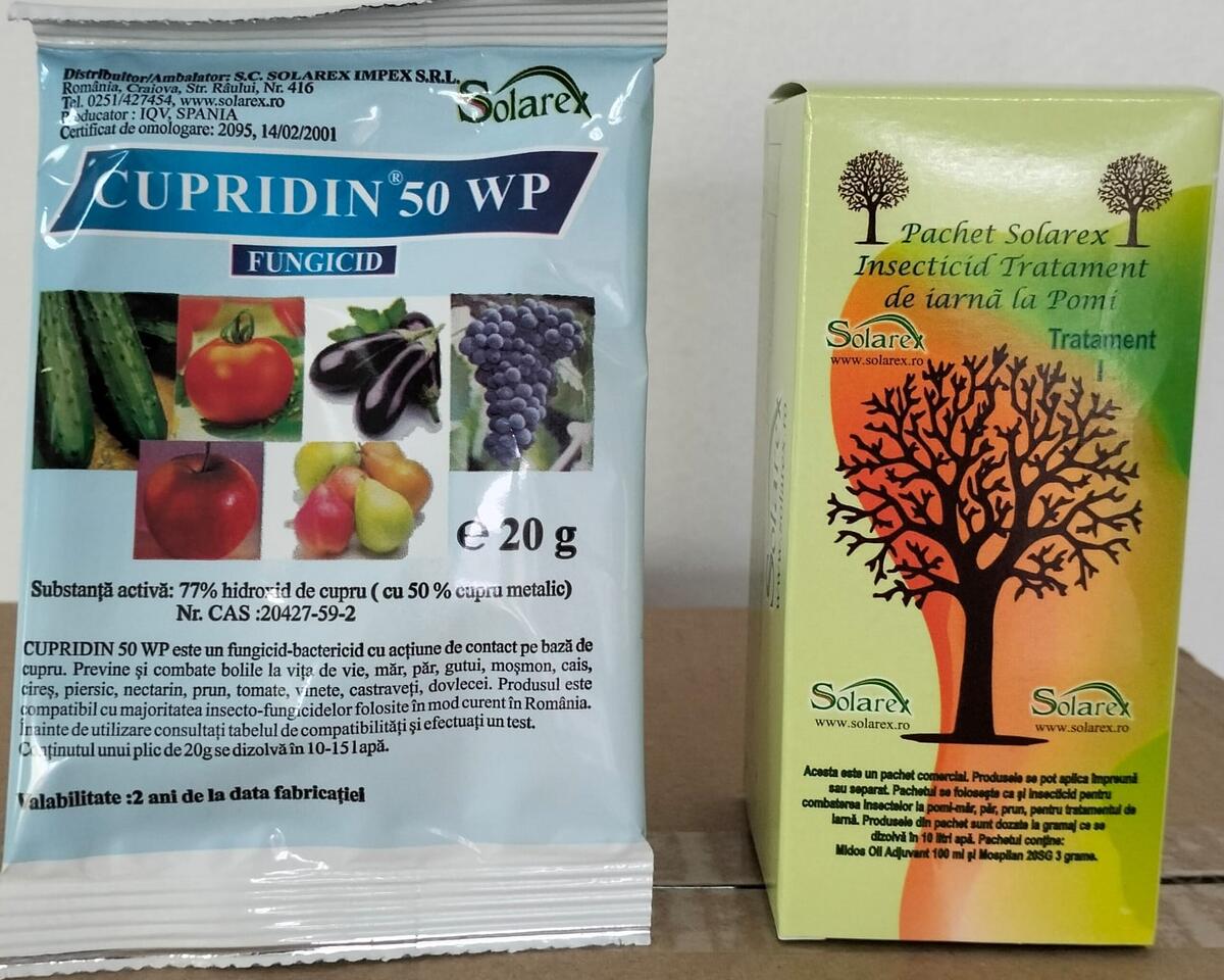 PROTEJAREA POMILOR FRUCTIFERI PRIN APLICAREA TRATAMENTELOR DE TOAMNA – IARNA !